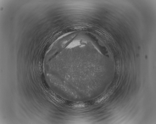 X0000061150653200512161556