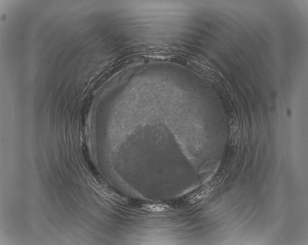 X0000061150654200512161556