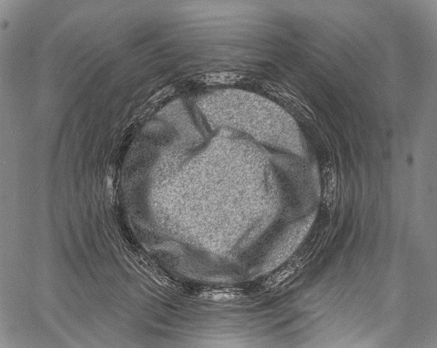 X0000061150655200512161556