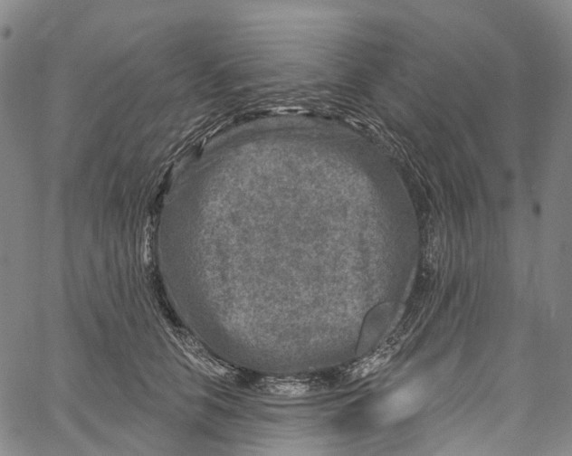 X0000061150658200512161557