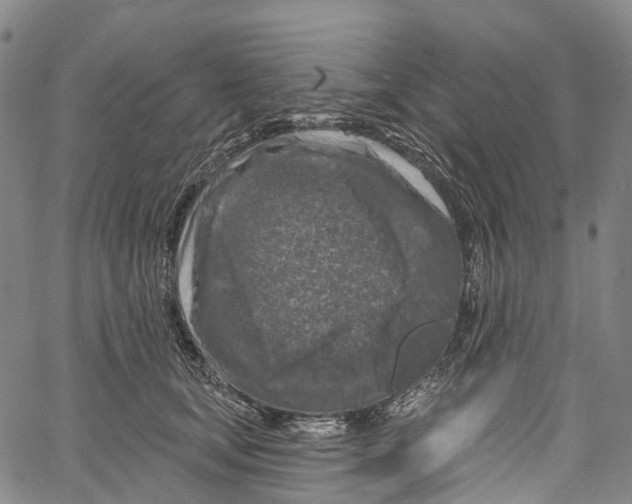 X0000061150659200512161557