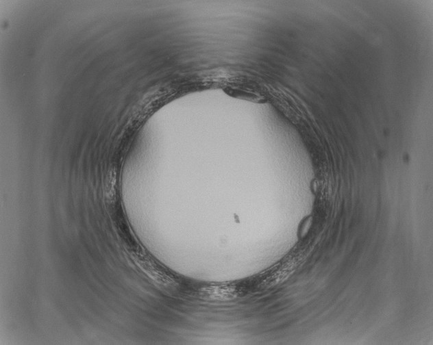 X0000061150660200512161557