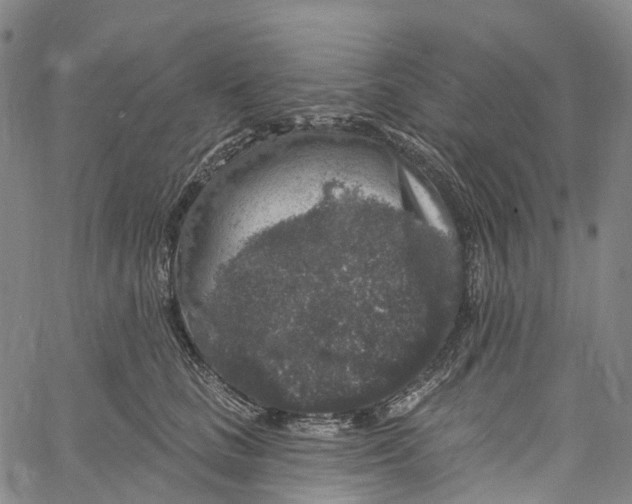 X0000061150661200512161557