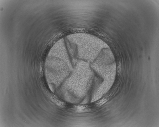 X0000061150662200512161557