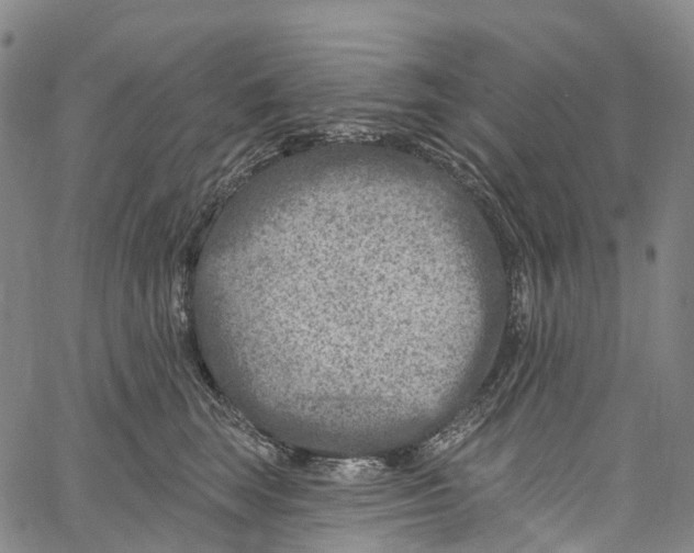 X0000061150663200512161557