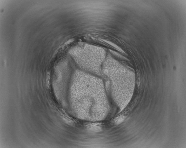 X0000061150664200512161557