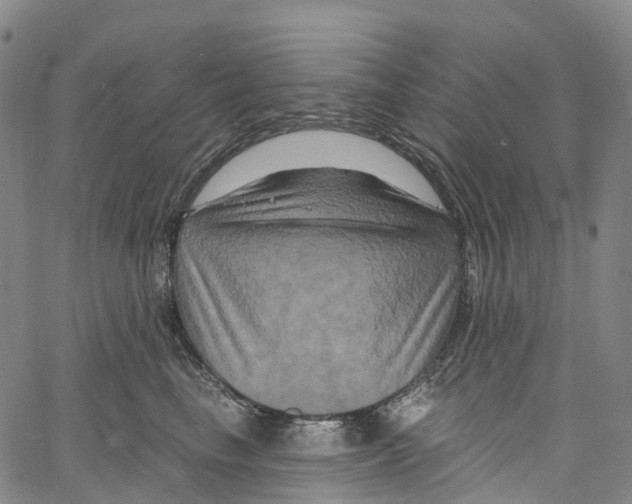 X0000061150665200512161557