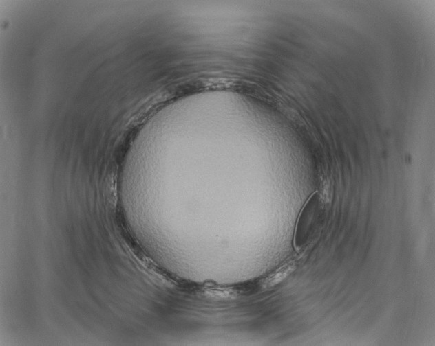 X0000061150666200512161557