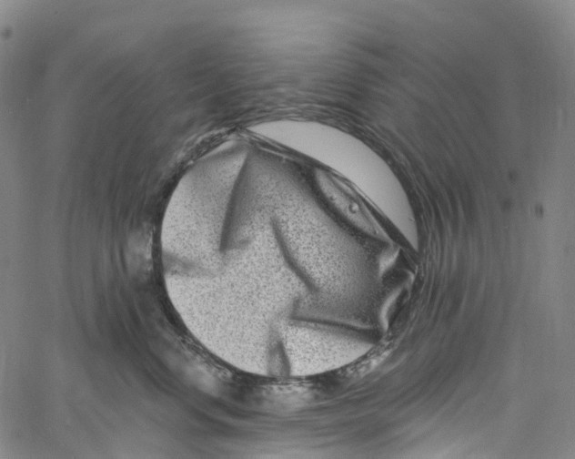 X0000061150668200512161557