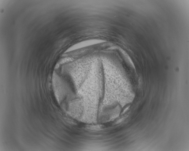 X0000061150671200512161557