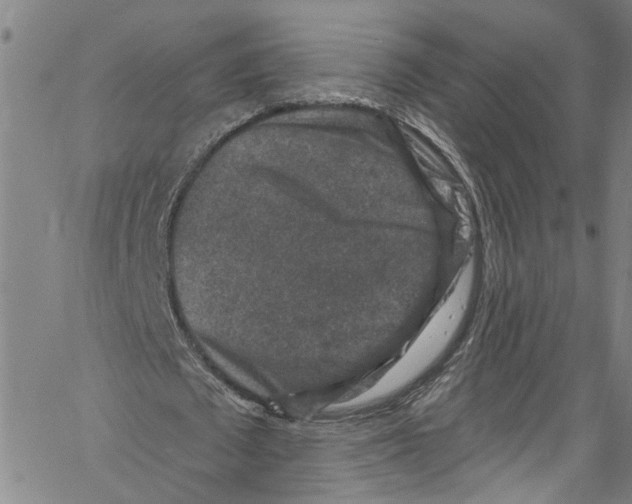 X0000061150673200512161556