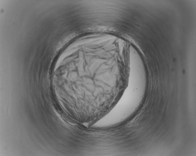 X0000061150674200512161556