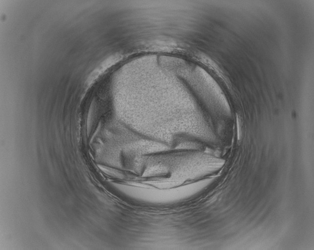 X0000061150675200512161556