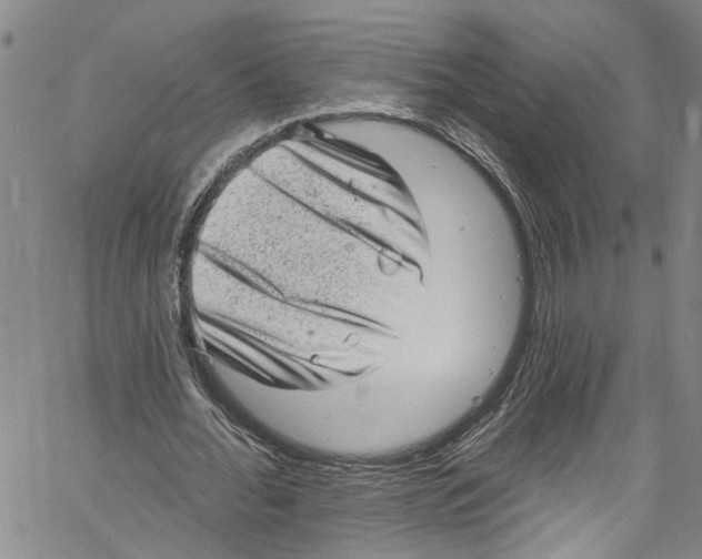 X0000061150676200512161556