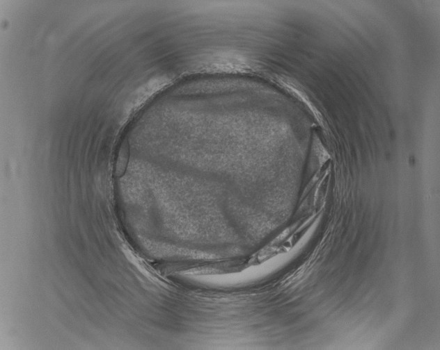 X0000061150677200512161556