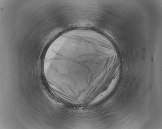 X0000061150678200512161556