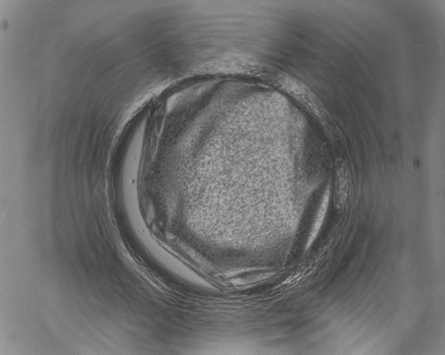 X0000061150680200512161556