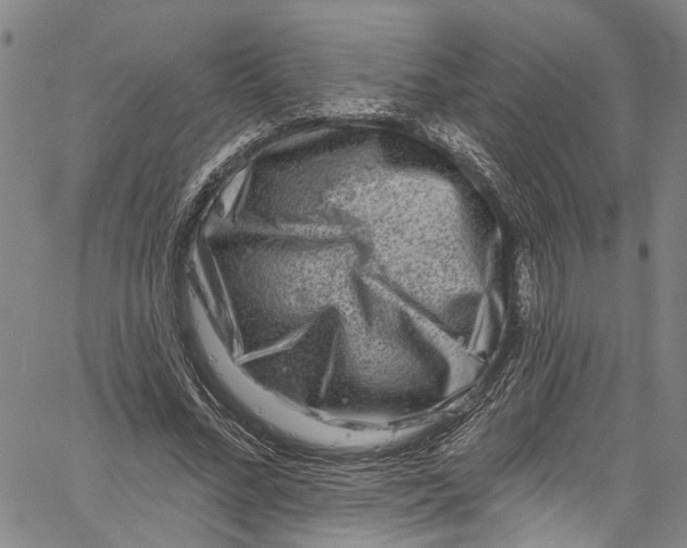 X0000061150684200512161556