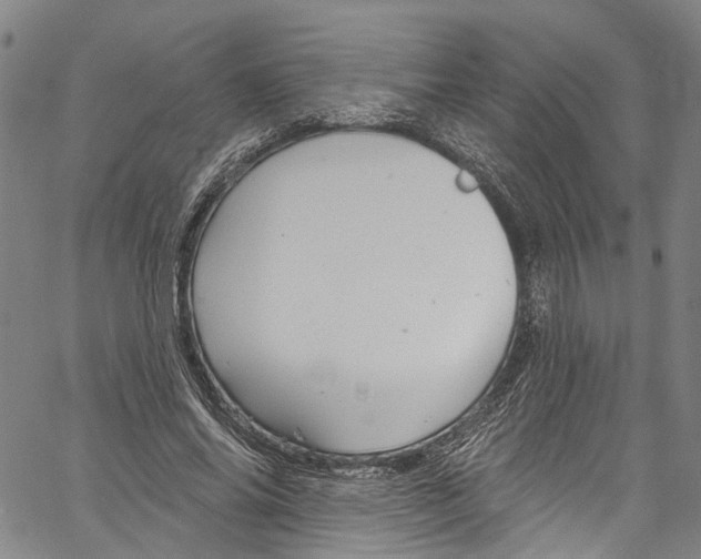 X0000061150686200512161556