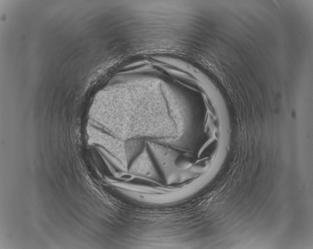 X0000061150688200512161556