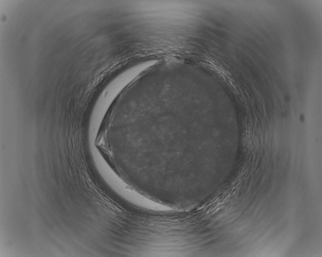 X0000061150689200512161556