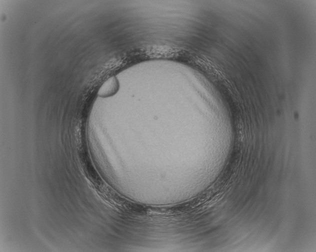 X0000061150690200512161556