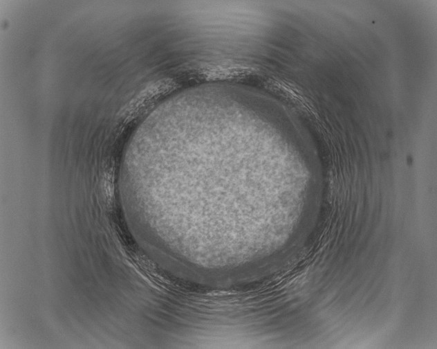 X0000061150691200512161556