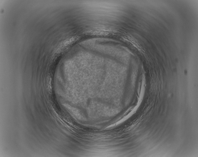 X0000061150692200512161556