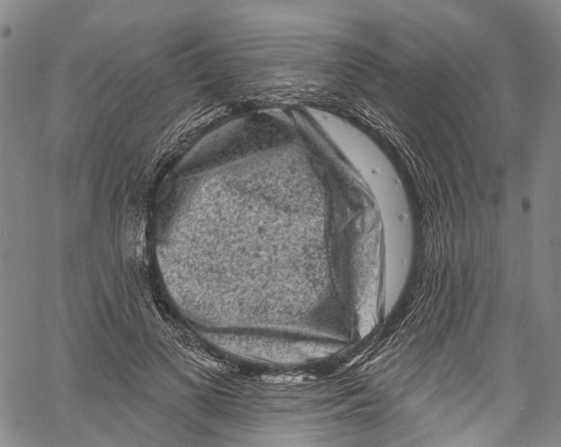 X0000061150693200512161556