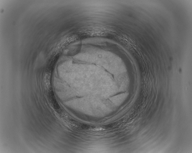 X0000061150695200512161556