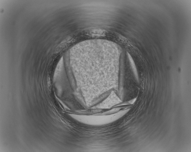 X0000061150704200512161555