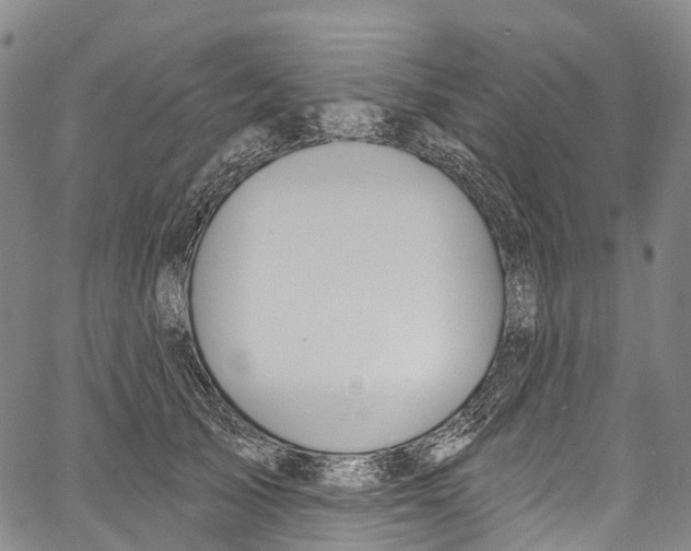 X0000061150705200512161555