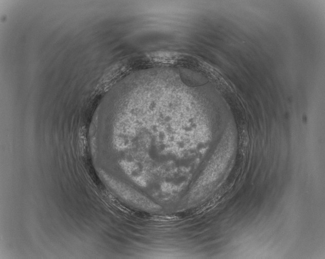 X0000061150707200512161555