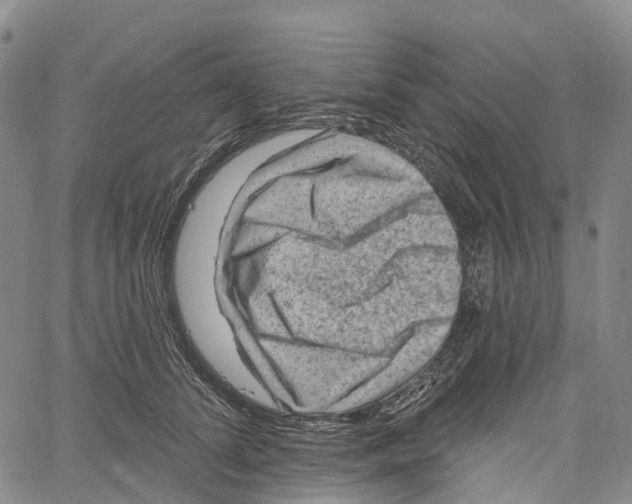 X0000061150708200512161555