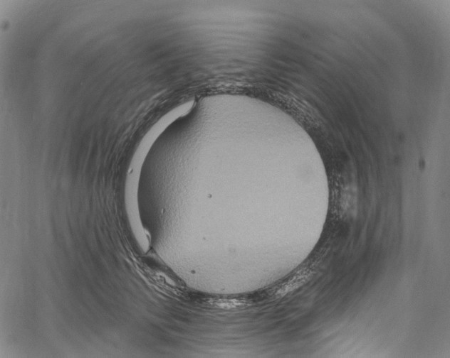 X0000061150710200512161555