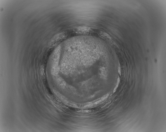 X0000061150711200512161555