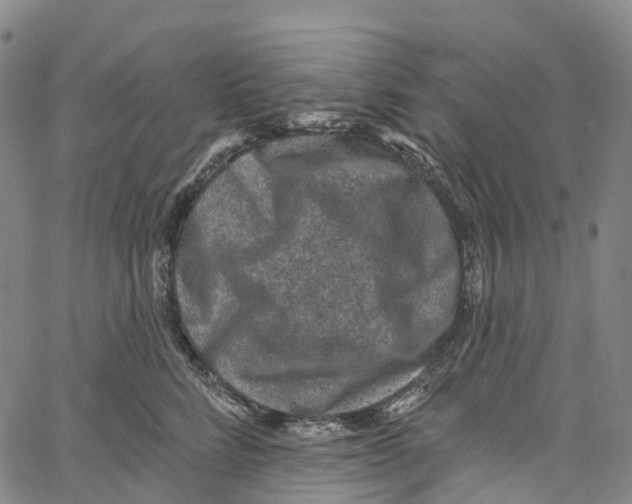 X0000061150712200512161555