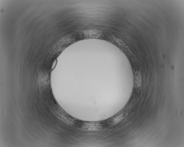 X0000061150713200512161555