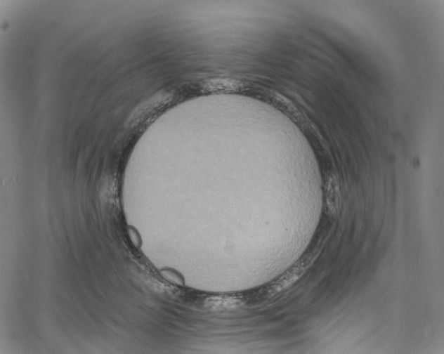 X0000061150714200512161555