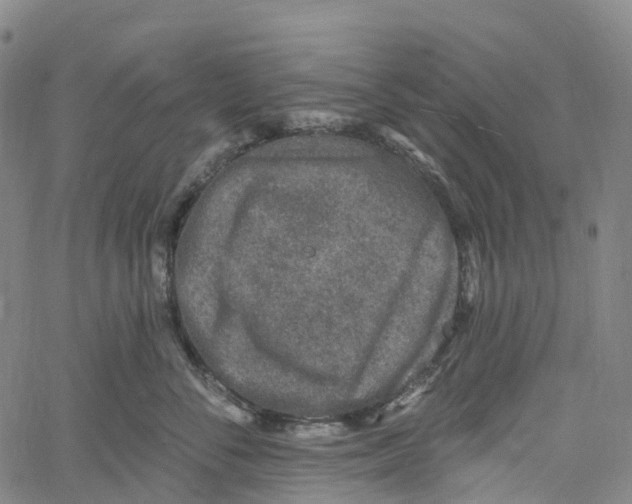 X0000061150716200512161555