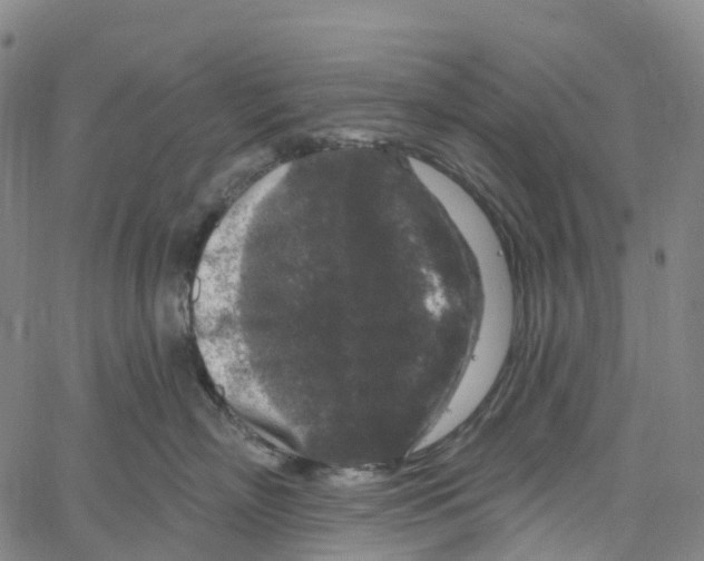 X0000061150718200512161555