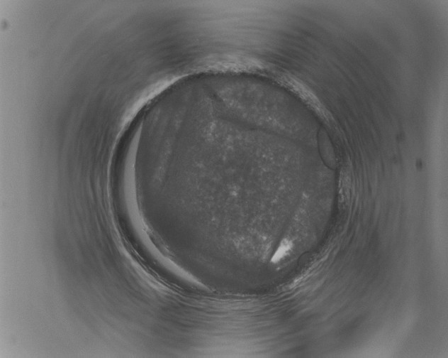 X0000061150722200512161554