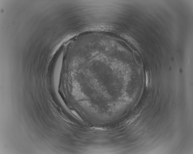 X0000061150723200512161554