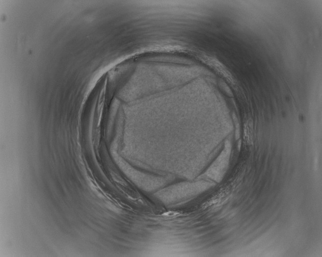 X0000061150724200512161554