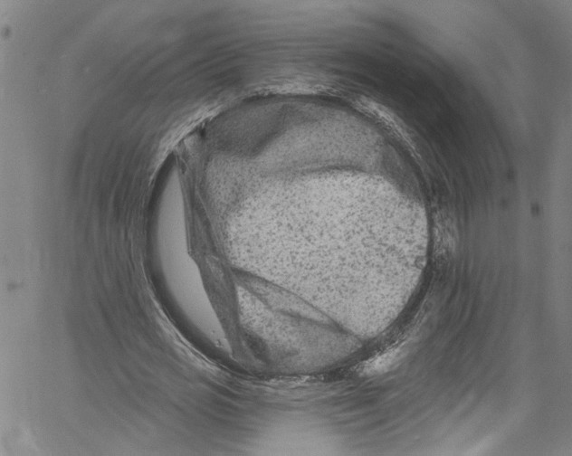 X0000061150725200512161554