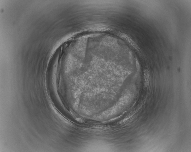 X0000061150726200512161554