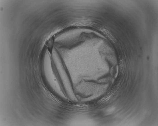 X0000061150727200512161555