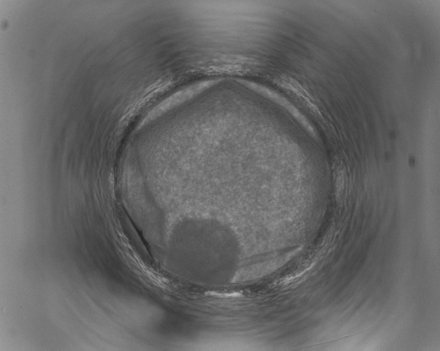 X0000061150729200512161555