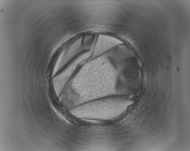 X0000061150730200512161555