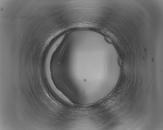 X0000061150732200512161555